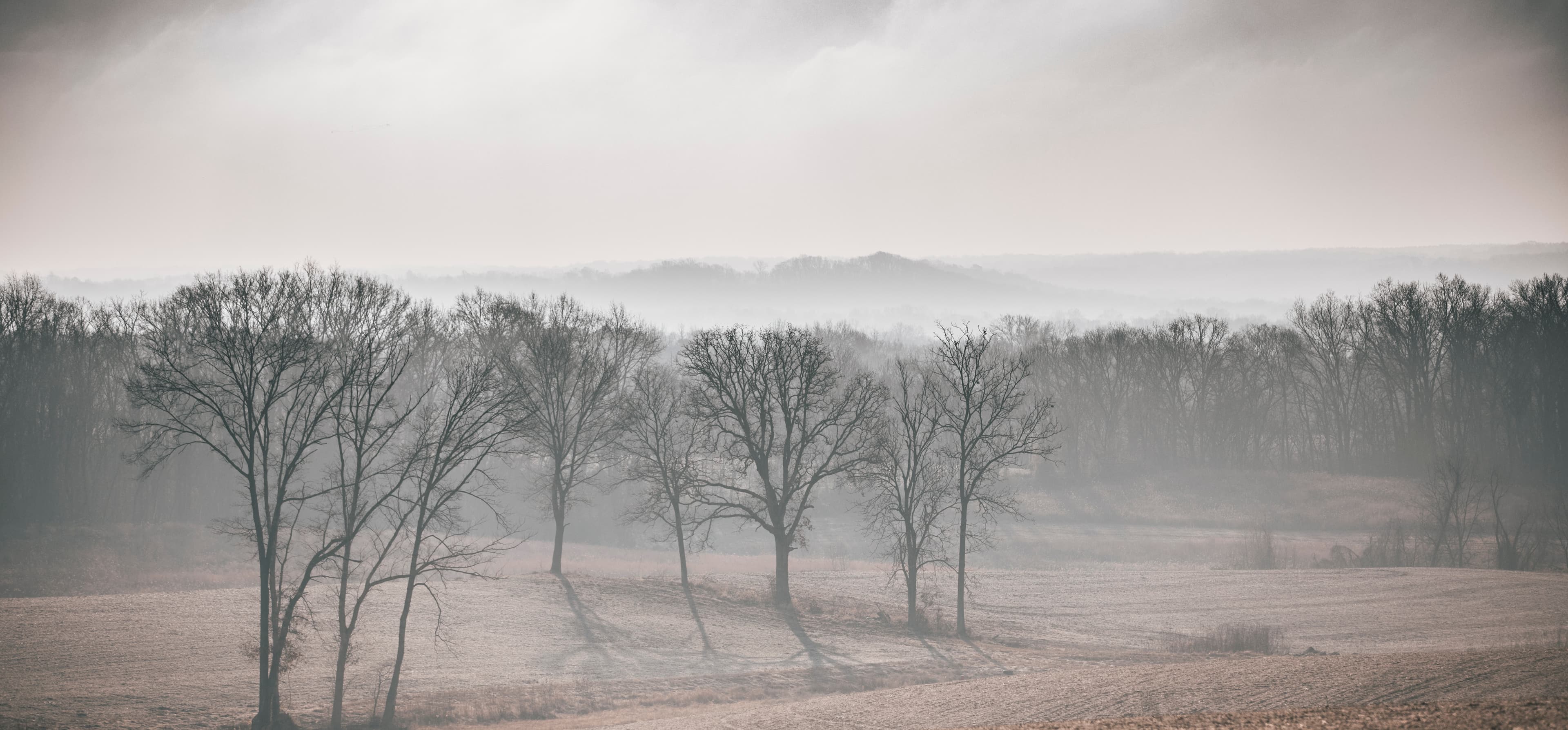 Misty winter field with bare trees and layered rural ridges